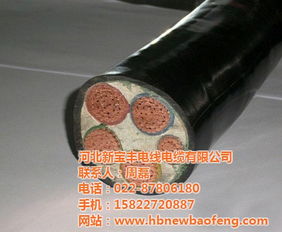 賀州高中低壓電纜與河北新寶豐推薦批發(fā)價(jià)格解析